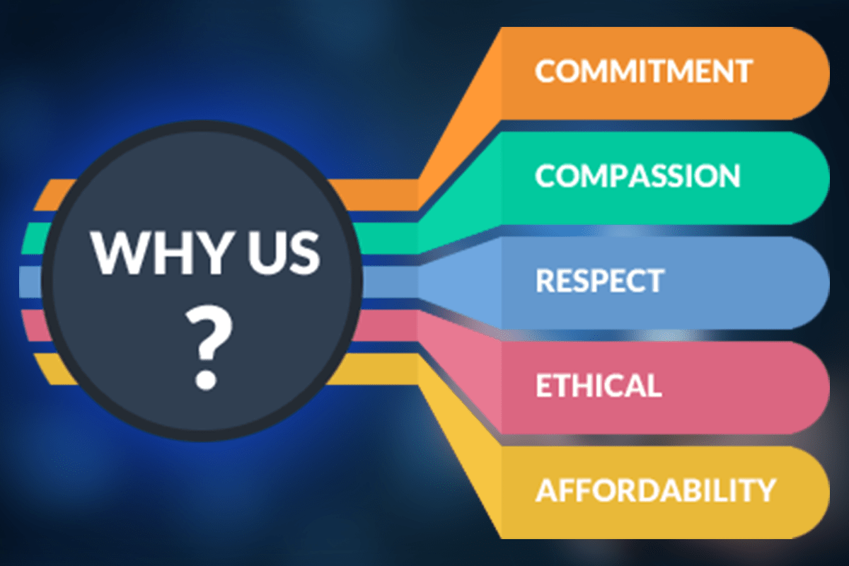 Why Choose Us?